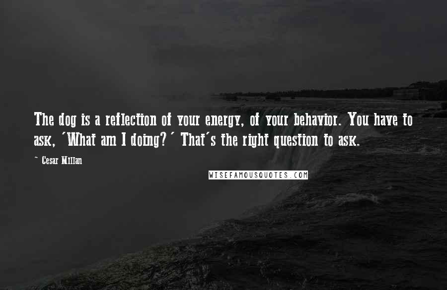 Cesar Millan Quotes: The dog is a reflection of your energy, of your behavior. You have to ask, 'What am I doing?' That's the right question to ask.