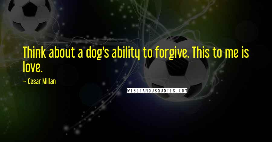 Cesar Millan Quotes: Think about a dog's ability to forgive. This to me is love.