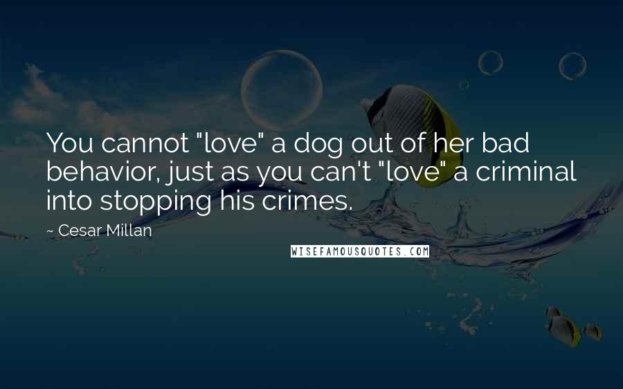 Cesar Millan Quotes: You cannot "love" a dog out of her bad behavior, just as you can't "love" a criminal into stopping his crimes.
