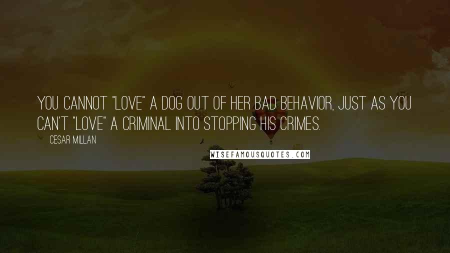 Cesar Millan Quotes: You cannot "love" a dog out of her bad behavior, just as you can't "love" a criminal into stopping his crimes.