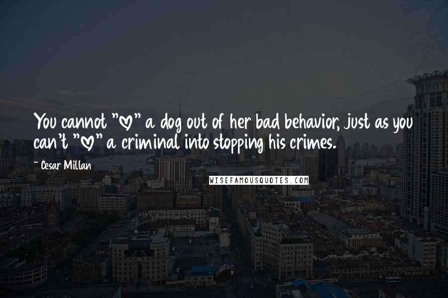 Cesar Millan Quotes: You cannot "love" a dog out of her bad behavior, just as you can't "love" a criminal into stopping his crimes.