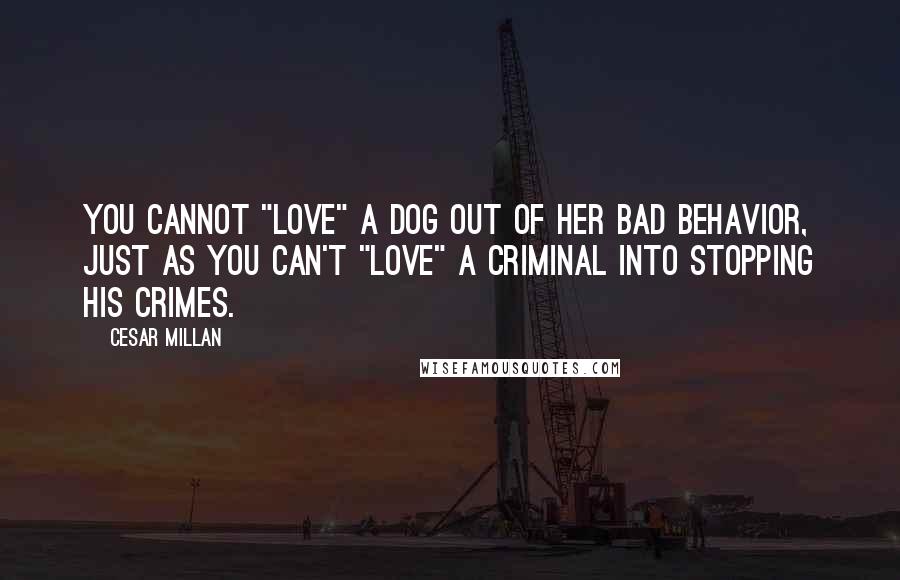 Cesar Millan Quotes: You cannot "love" a dog out of her bad behavior, just as you can't "love" a criminal into stopping his crimes.