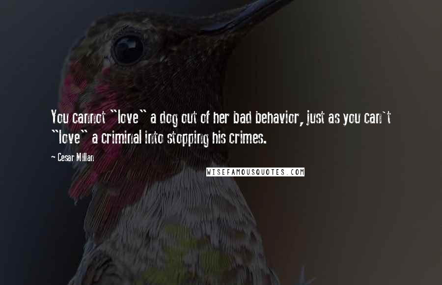 Cesar Millan Quotes: You cannot "love" a dog out of her bad behavior, just as you can't "love" a criminal into stopping his crimes.