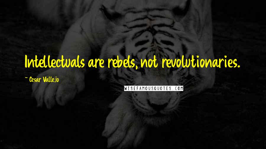 Cesar Vallejo Quotes: Intellectuals are rebels, not revolutionaries.