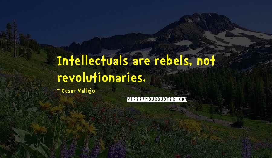 Cesar Vallejo Quotes: Intellectuals are rebels, not revolutionaries.
