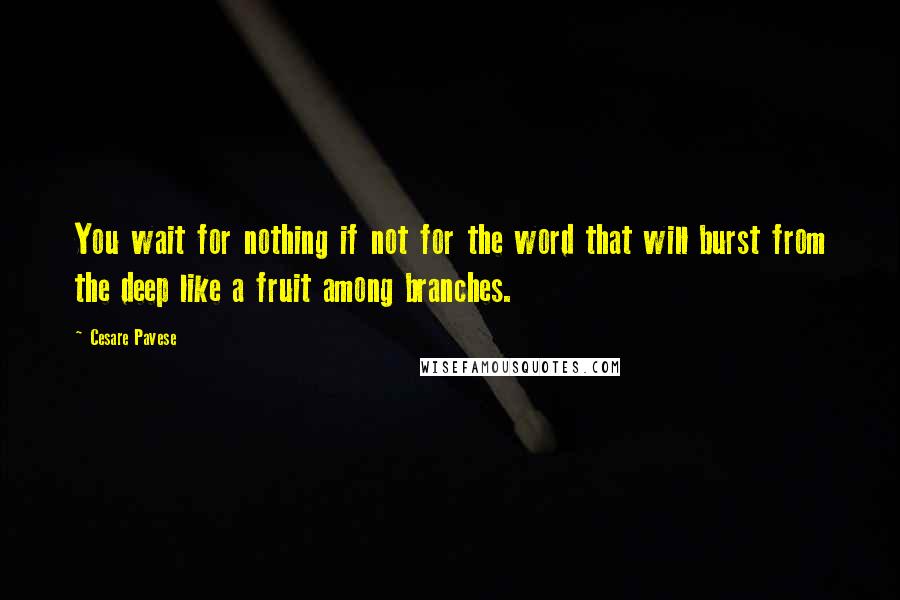 Cesare Pavese Quotes: You wait for nothing if not for the word that will burst from the deep like a fruit among branches.