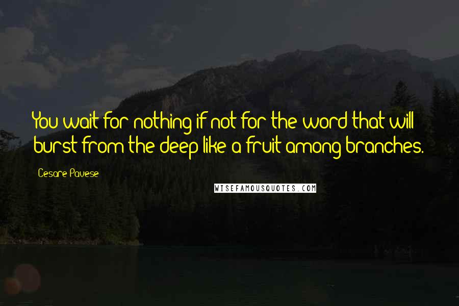 Cesare Pavese Quotes: You wait for nothing if not for the word that will burst from the deep like a fruit among branches.