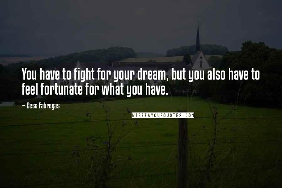 Cesc Fabregas Quotes: You have to fight for your dream, but you also have to feel fortunate for what you have.