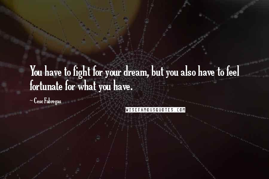 Cesc Fabregas Quotes: You have to fight for your dream, but you also have to feel fortunate for what you have.