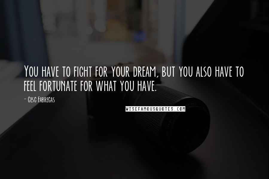 Cesc Fabregas Quotes: You have to fight for your dream, but you also have to feel fortunate for what you have.