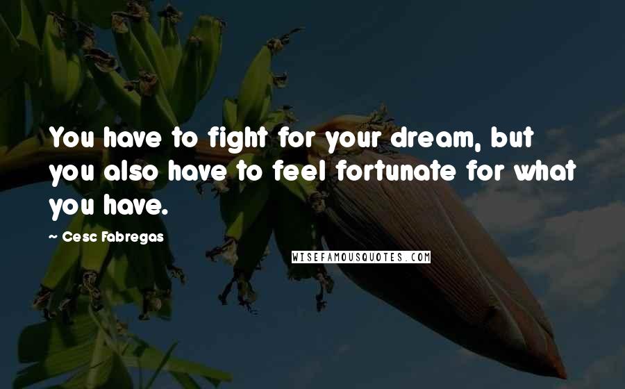 Cesc Fabregas Quotes: You have to fight for your dream, but you also have to feel fortunate for what you have.