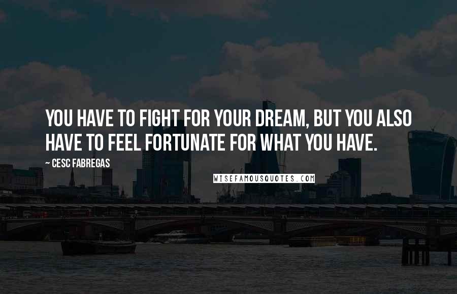 Cesc Fabregas Quotes: You have to fight for your dream, but you also have to feel fortunate for what you have.