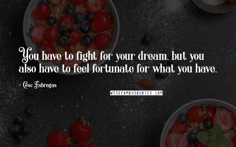 Cesc Fabregas Quotes: You have to fight for your dream, but you also have to feel fortunate for what you have.