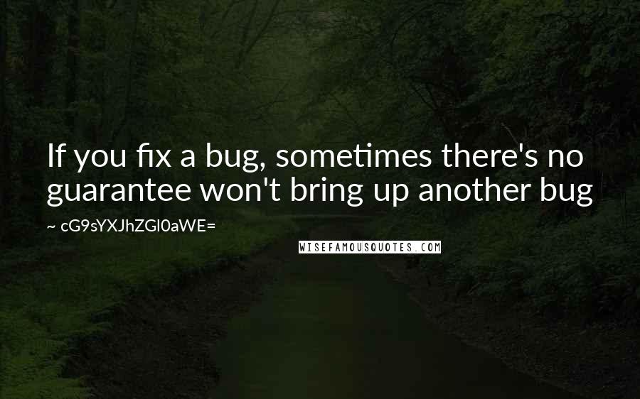 CG9sYXJhZGl0aWE= Quotes: If you fix a bug, sometimes there's no guarantee won't bring up another bug
