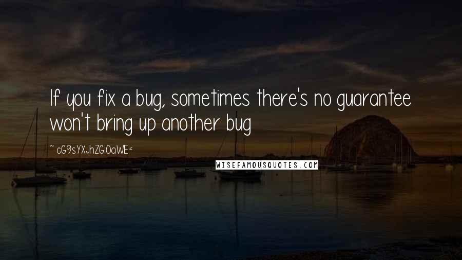 CG9sYXJhZGl0aWE= Quotes: If you fix a bug, sometimes there's no guarantee won't bring up another bug