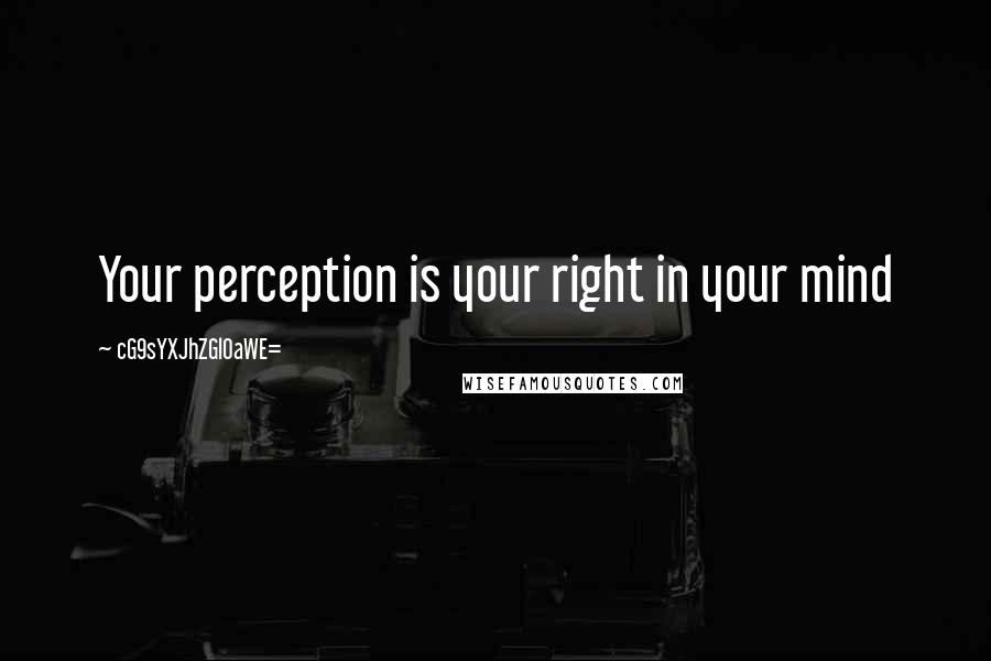 CG9sYXJhZGl0aWE= Quotes: Your perception is your right in your mind