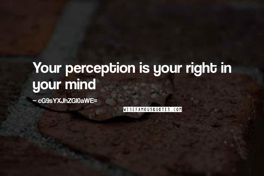 CG9sYXJhZGl0aWE= Quotes: Your perception is your right in your mind