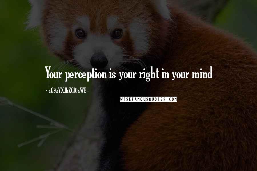 CG9sYXJhZGl0aWE= Quotes: Your perception is your right in your mind