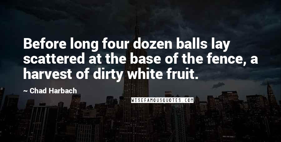 Chad Harbach Quotes: Before long four dozen balls lay scattered at the base of the fence, a harvest of dirty white fruit.