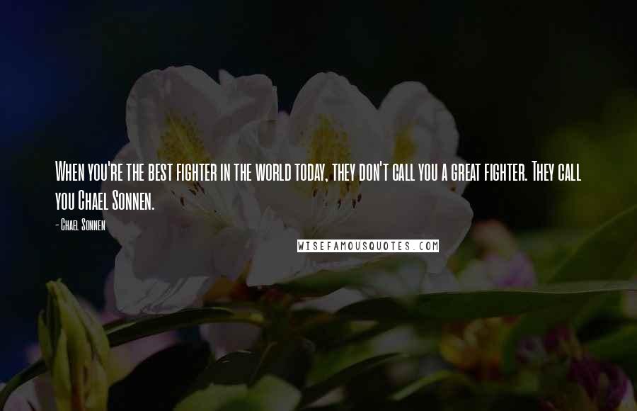 Chael Sonnen Quotes: When you're the best fighter in the world today, they don't call you a great fighter. They call you Chael Sonnen.