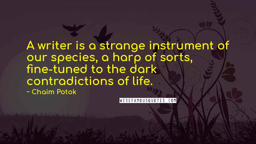 Chaim Potok Quotes: A writer is a strange instrument of our species, a harp of sorts, fine-tuned to the dark contradictions of life.