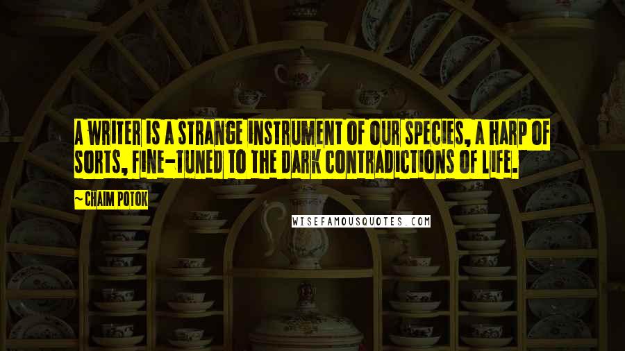 Chaim Potok Quotes: A writer is a strange instrument of our species, a harp of sorts, fine-tuned to the dark contradictions of life.