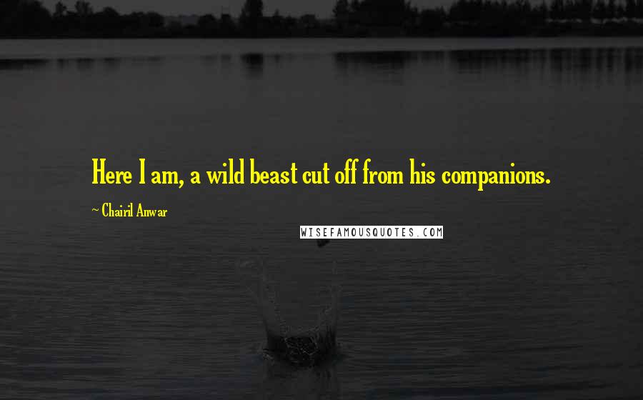 Chairil Anwar Quotes: Here I am, a wild beast cut off from his companions.