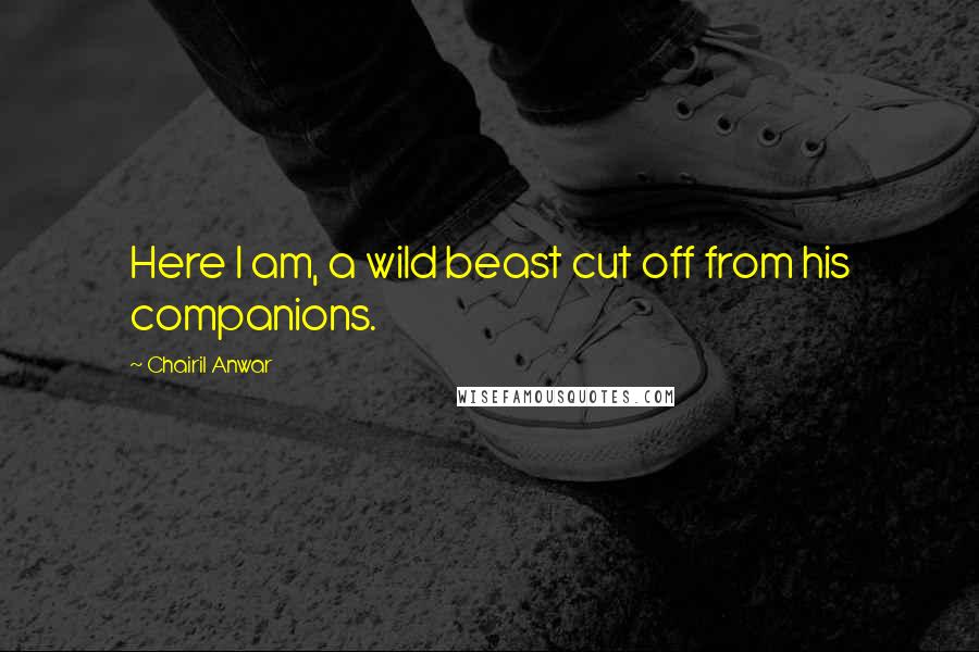 Chairil Anwar Quotes: Here I am, a wild beast cut off from his companions.
