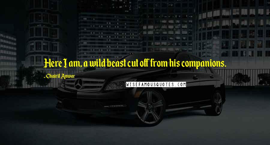 Chairil Anwar Quotes: Here I am, a wild beast cut off from his companions.