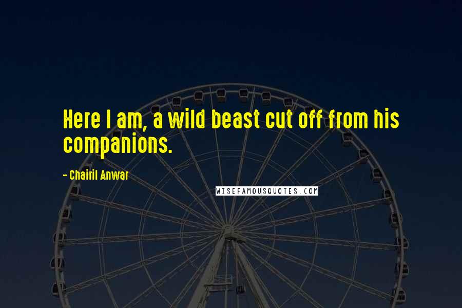 Chairil Anwar Quotes: Here I am, a wild beast cut off from his companions.