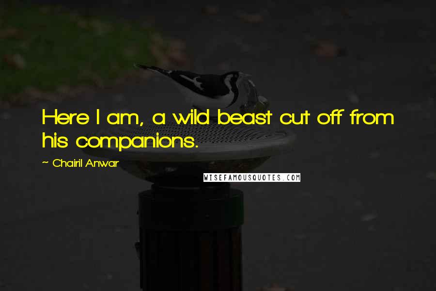 Chairil Anwar Quotes: Here I am, a wild beast cut off from his companions.