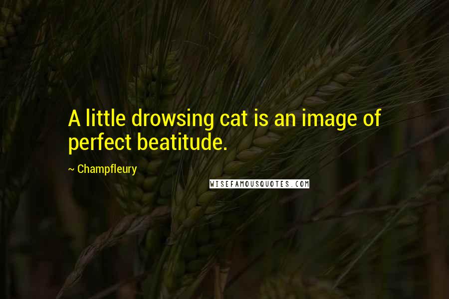 Champfleury Quotes: A little drowsing cat is an image of perfect beatitude.