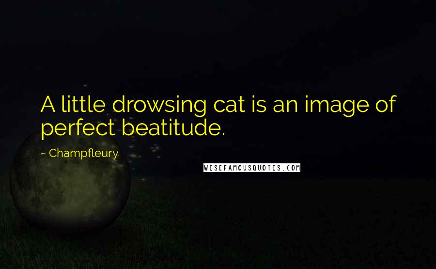 Champfleury Quotes: A little drowsing cat is an image of perfect beatitude.