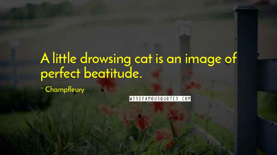 Champfleury Quotes: A little drowsing cat is an image of perfect beatitude.