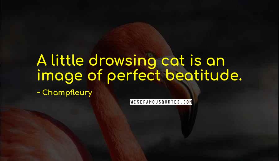 Champfleury Quotes: A little drowsing cat is an image of perfect beatitude.