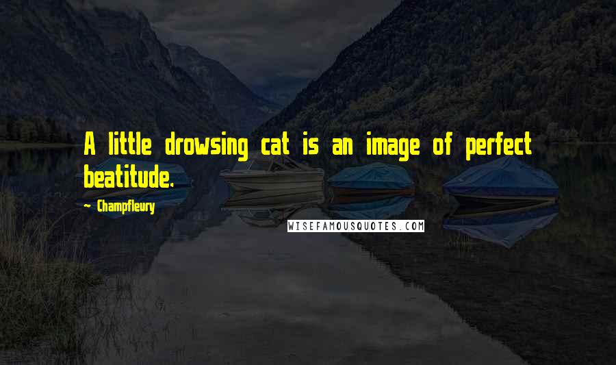 Champfleury Quotes: A little drowsing cat is an image of perfect beatitude.