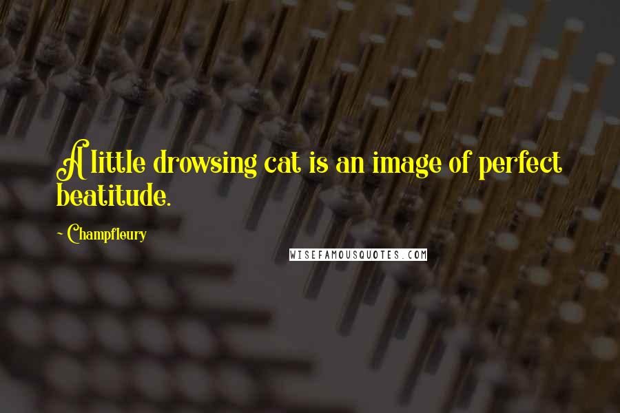 Champfleury Quotes: A little drowsing cat is an image of perfect beatitude.