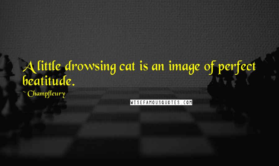 Champfleury Quotes: A little drowsing cat is an image of perfect beatitude.