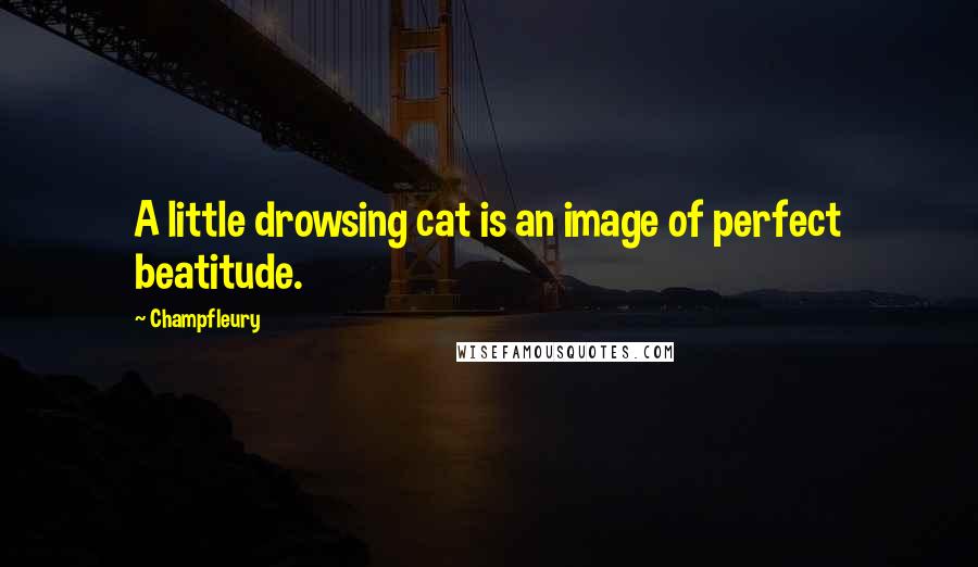 Champfleury Quotes: A little drowsing cat is an image of perfect beatitude.