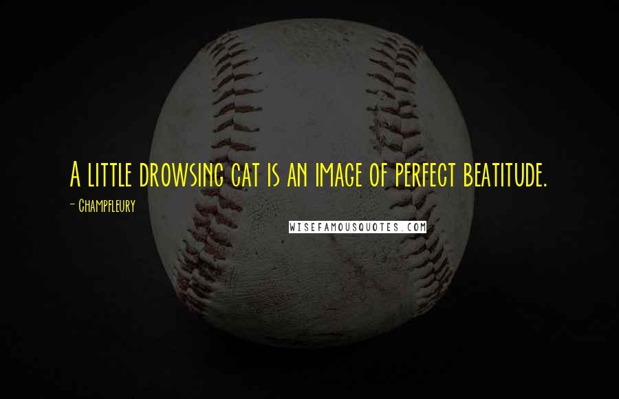 Champfleury Quotes: A little drowsing cat is an image of perfect beatitude.