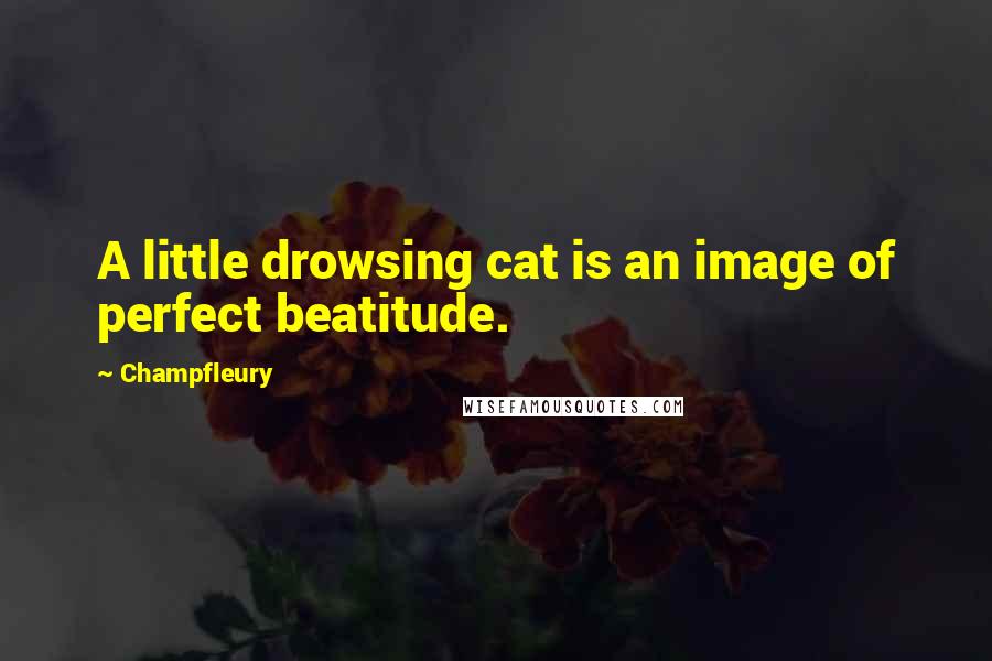 Champfleury Quotes: A little drowsing cat is an image of perfect beatitude.