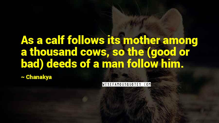 Chanakya Quotes: As a calf follows its mother among a thousand cows, so the (good or bad) deeds of a man follow him.