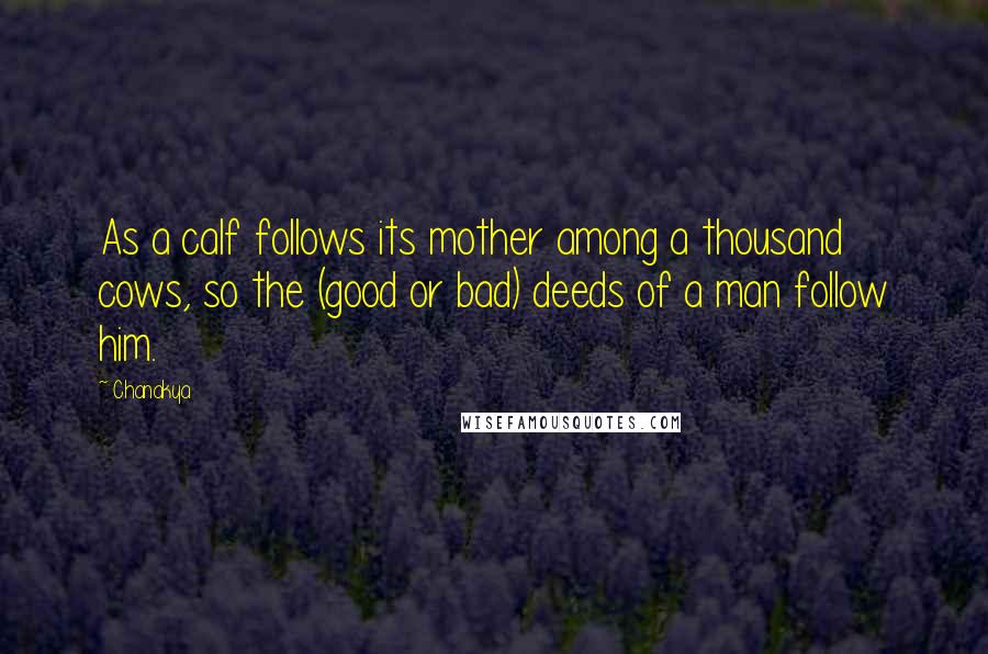 Chanakya Quotes: As a calf follows its mother among a thousand cows, so the (good or bad) deeds of a man follow him.