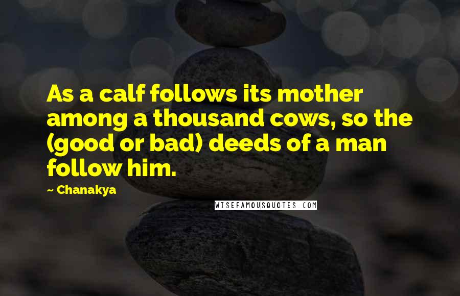 Chanakya Quotes: As a calf follows its mother among a thousand cows, so the (good or bad) deeds of a man follow him.