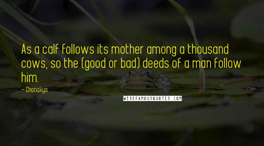 Chanakya Quotes: As a calf follows its mother among a thousand cows, so the (good or bad) deeds of a man follow him.