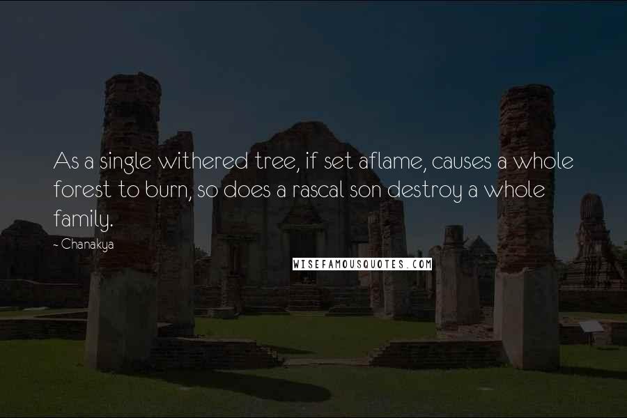 Chanakya Quotes: As a single withered tree, if set aflame, causes a whole forest to burn, so does a rascal son destroy a whole family.