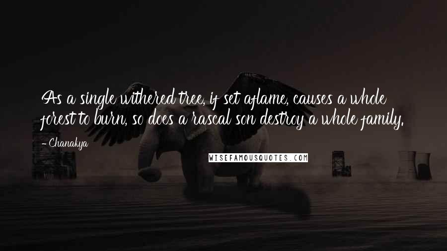 Chanakya Quotes: As a single withered tree, if set aflame, causes a whole forest to burn, so does a rascal son destroy a whole family.