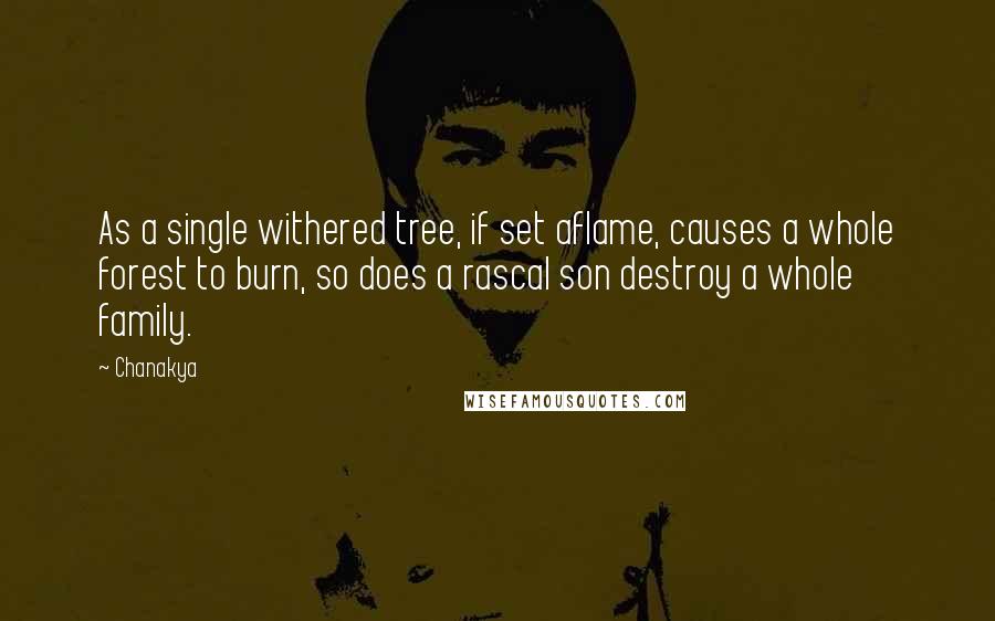 Chanakya Quotes: As a single withered tree, if set aflame, causes a whole forest to burn, so does a rascal son destroy a whole family.