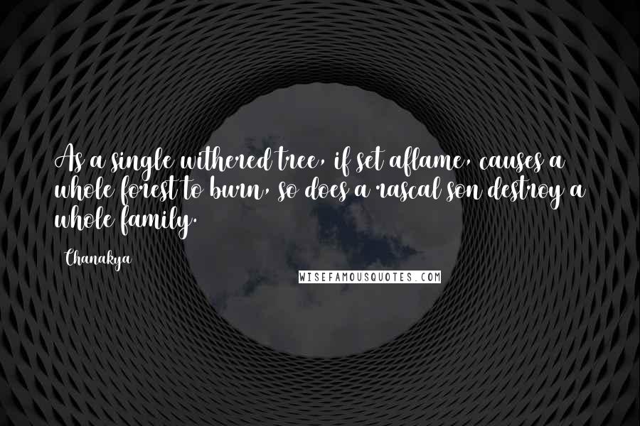 Chanakya Quotes: As a single withered tree, if set aflame, causes a whole forest to burn, so does a rascal son destroy a whole family.