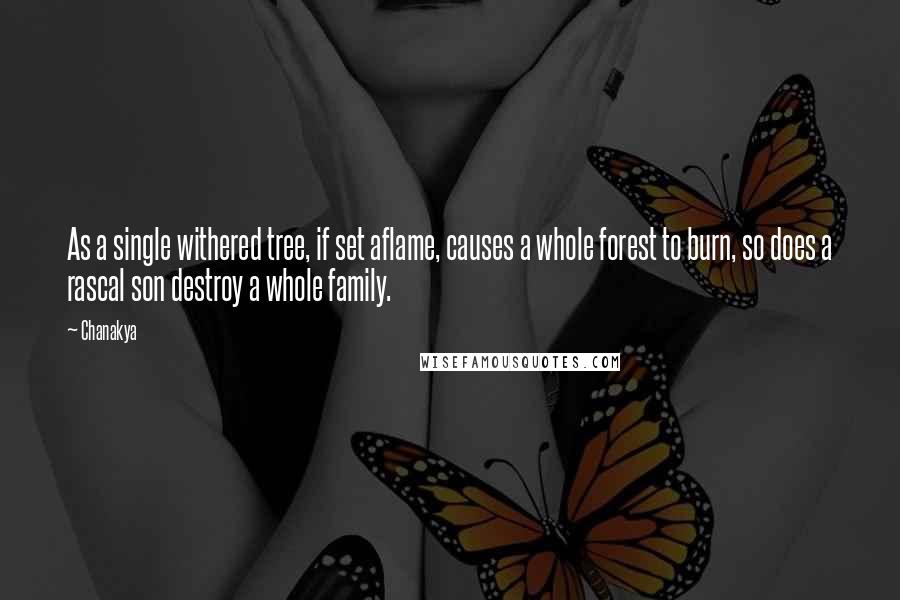 Chanakya Quotes: As a single withered tree, if set aflame, causes a whole forest to burn, so does a rascal son destroy a whole family.